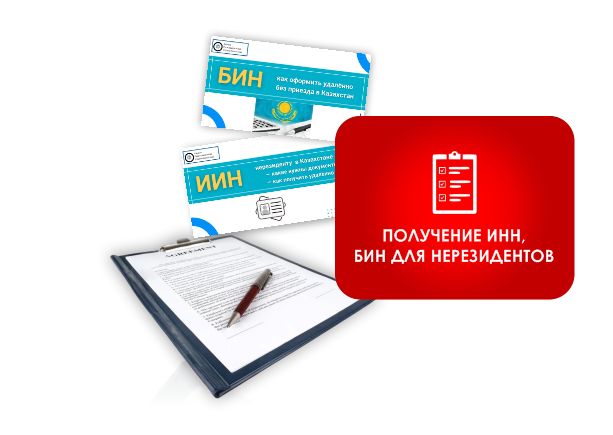 получение БИН