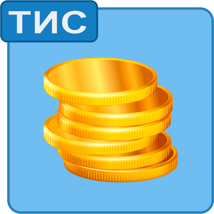 ТИС ввод в эксплуатацию (основная касса)