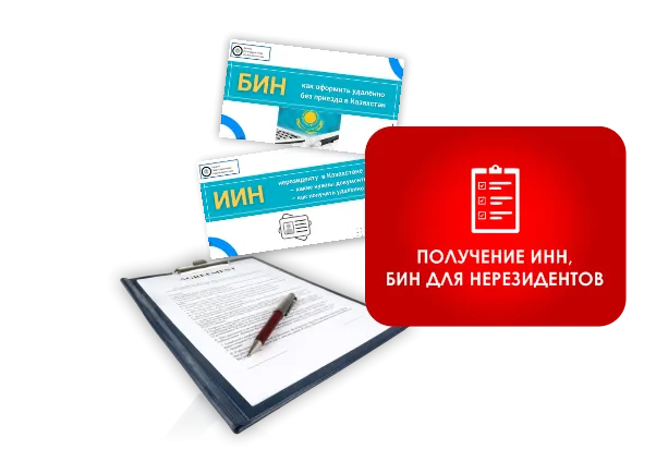получение БИН