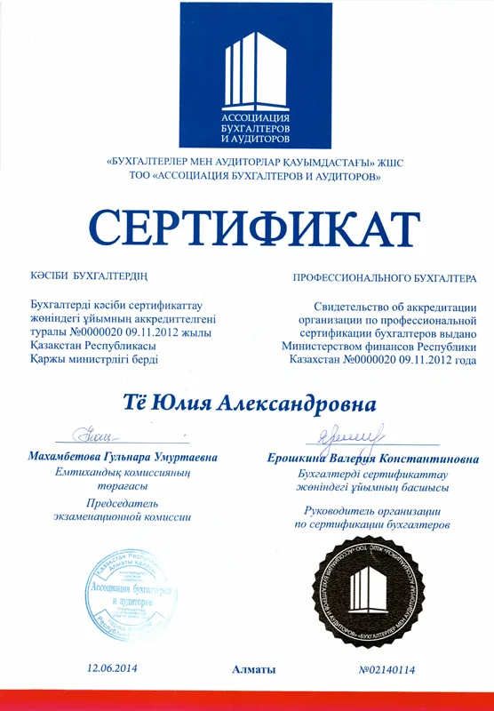 Сертификат. Профессиональный бухгалтер Тё Юлия