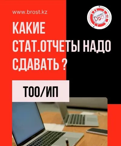 фото Как ИП или ТОО узнать, какие статистические отчёты сдавать? фото Как ИП или ТОО узнать, какие статистические отчёты сдавать?