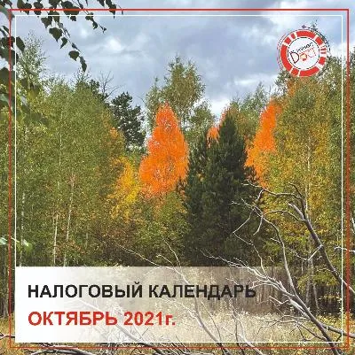 фото Налоговый календарь - октябрь 2021г. фото Налоговый календарь - октябрь 2021г.