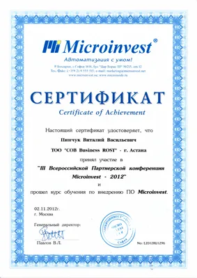 Сертификат. Участие в III Всеросийской конференции Пинчук Виталий